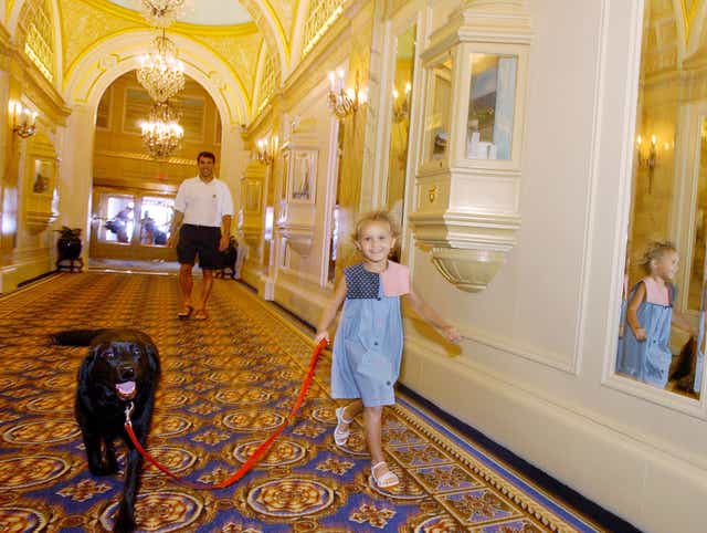 Have Dog Will Travel Top Pet Friendly Hotel Chains