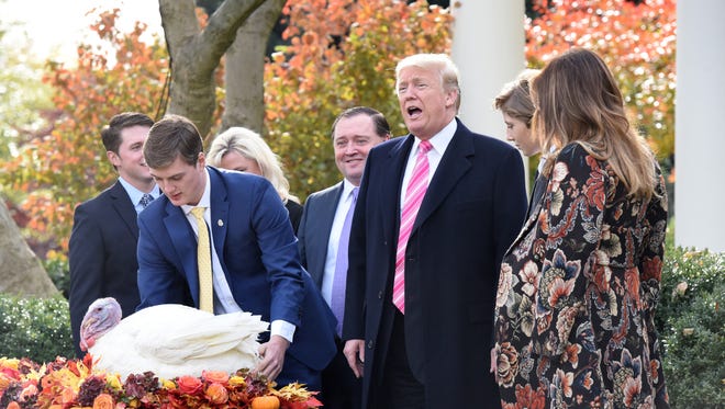 U.S President Donald  Trump pardons "Drumstick ", the National Thanksgiving Turkey  during  a ceremony in the Rose Garden of the White House November 21, 2017 in Washington, DC.(Olivier Douliery/Abaca Press/TNS)