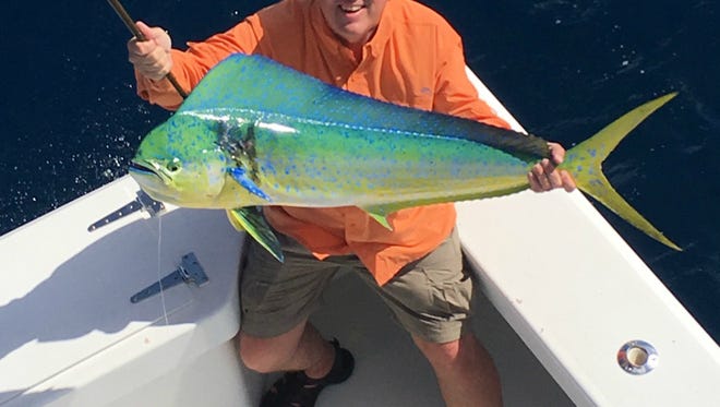 This angler and several of his friends enjoyed solid fishing for mahi mahi aboard Last Mango charters with Capt. Tris Colket out of Fort Pierce City Marina Friday.