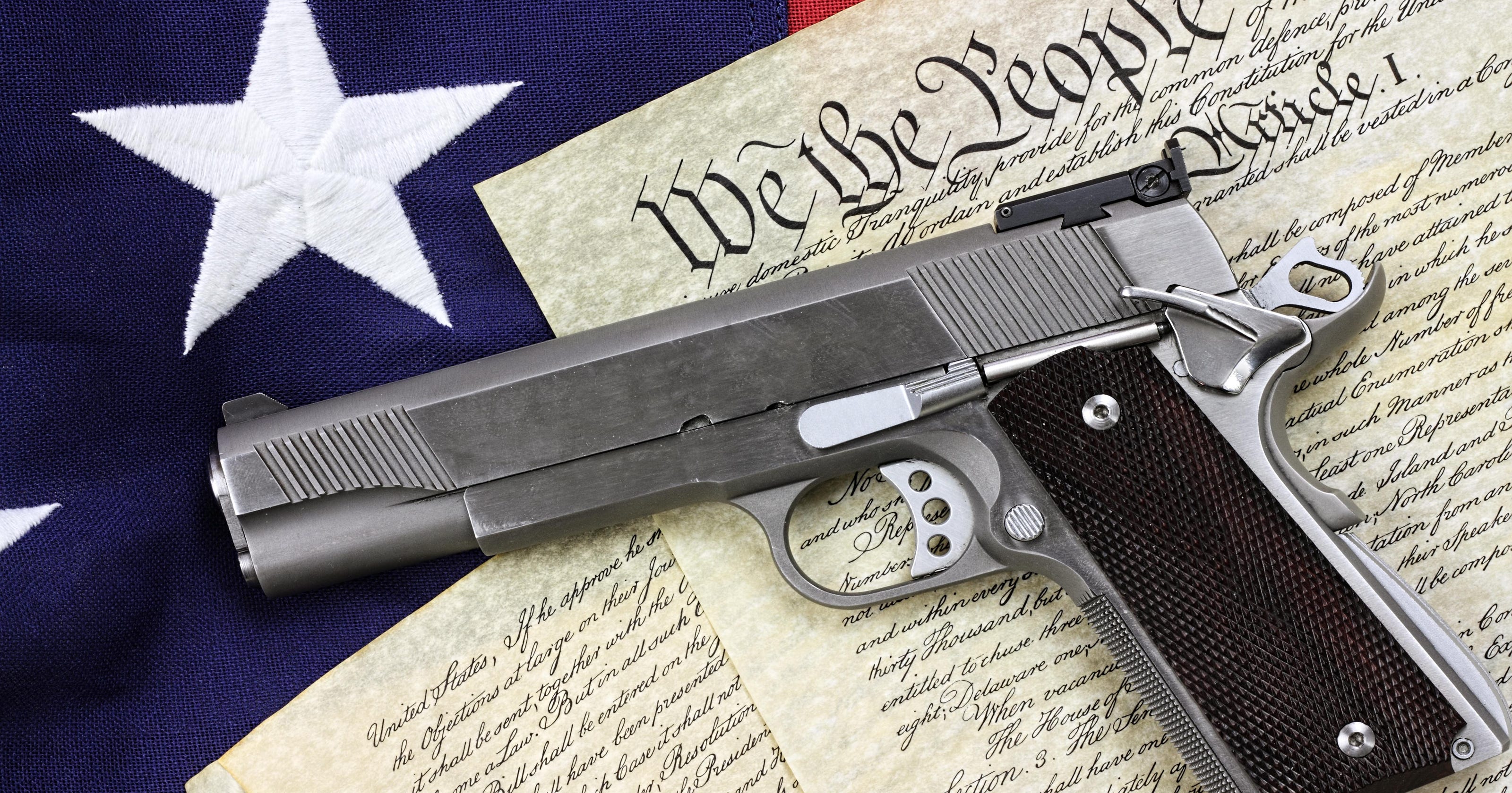 nj gun sales which county has most