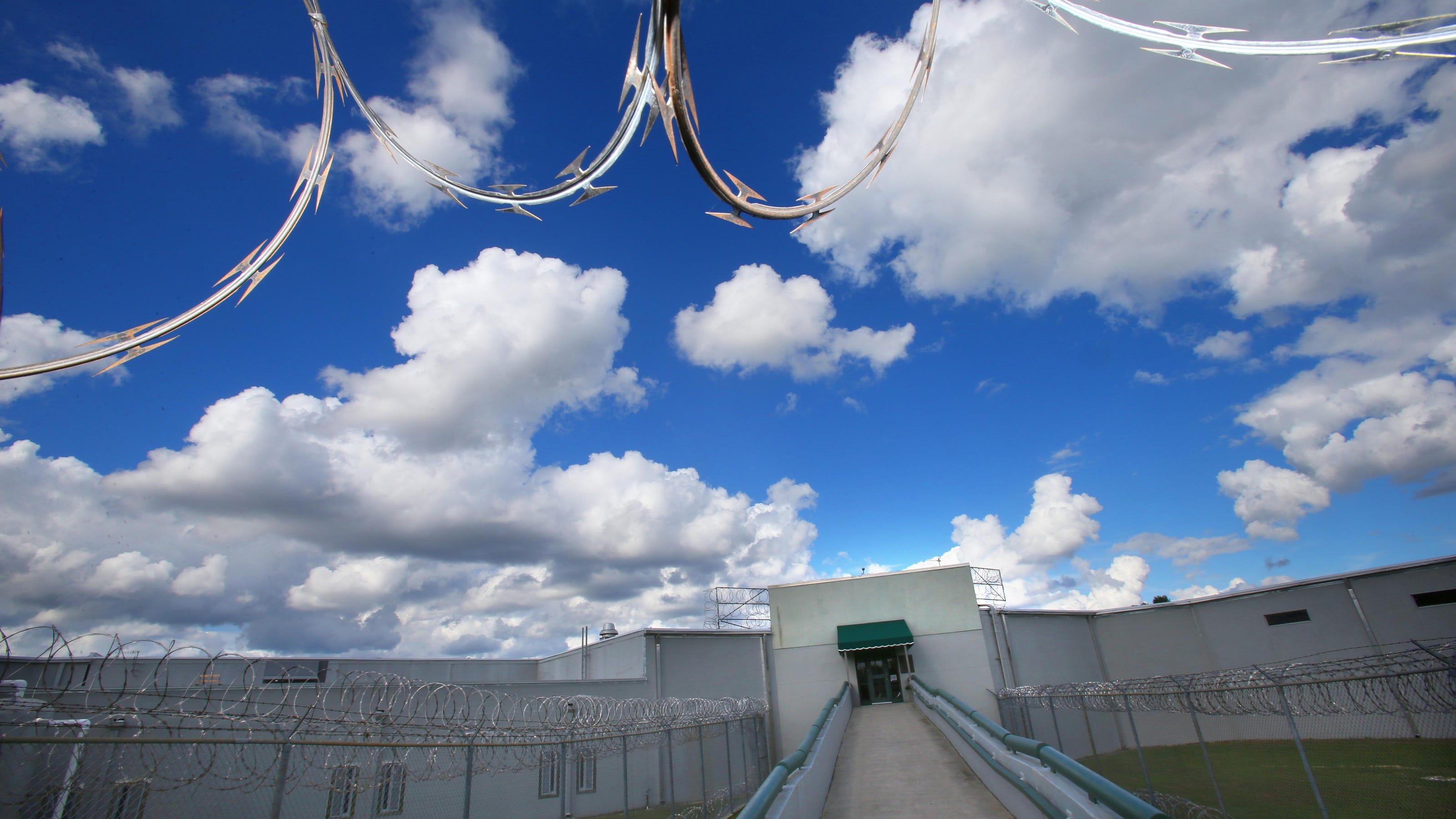 Porn movie - Dateline shows on sex sting Core pussy shaved soft