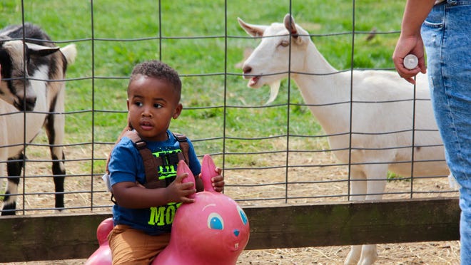 A young child plays next to a petting zoo during the fifth annual Grant Me Hope FunFest in Holland Saturday, Sept. 26, at Nelis' Dutch Village. The event aimed at drawing awareness to older children in the foster care system.