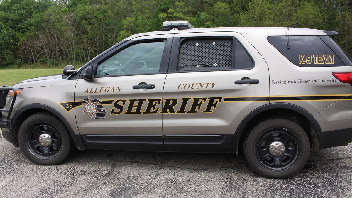 Allegan County Mother Shoots Son Then Self After Mental‑Health Custody Attempt Falters