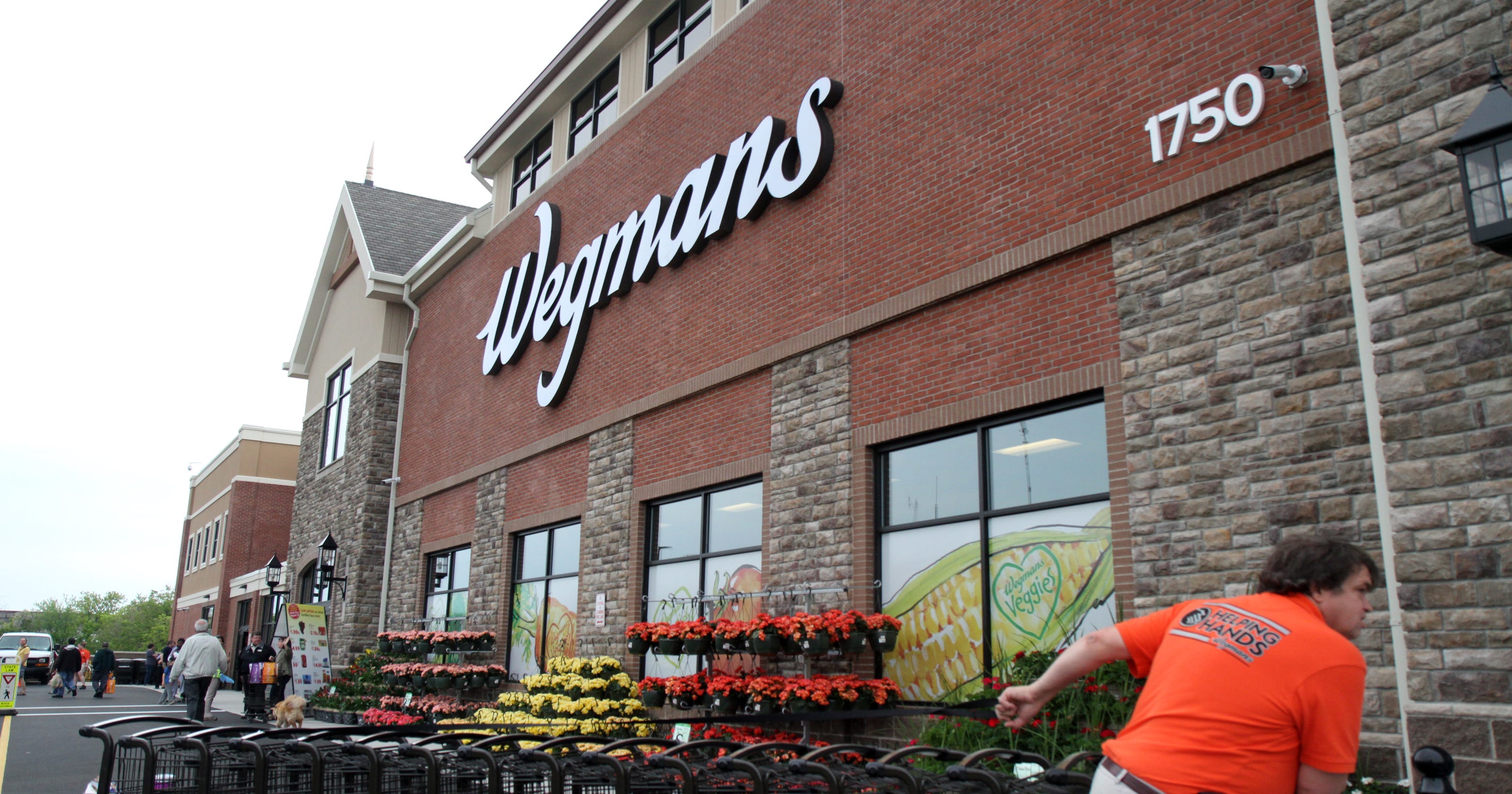 Wegmans Job Openings Rochester Ny - 650lqps