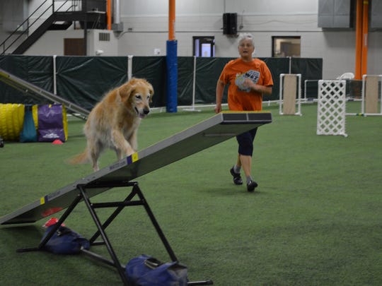 Spa Paw Amp Tail Premier Pet Resort Offers Unique Ways To