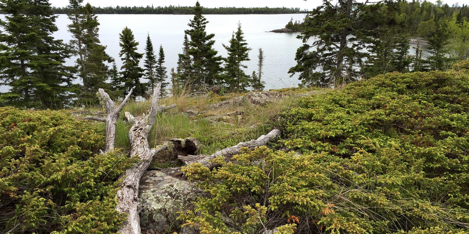 Isle Royale A Real Place Full Of Magic