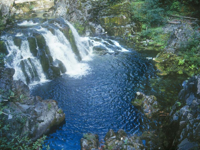 Opal Creek S 7 Best Hikes How To Avoid The Crowds