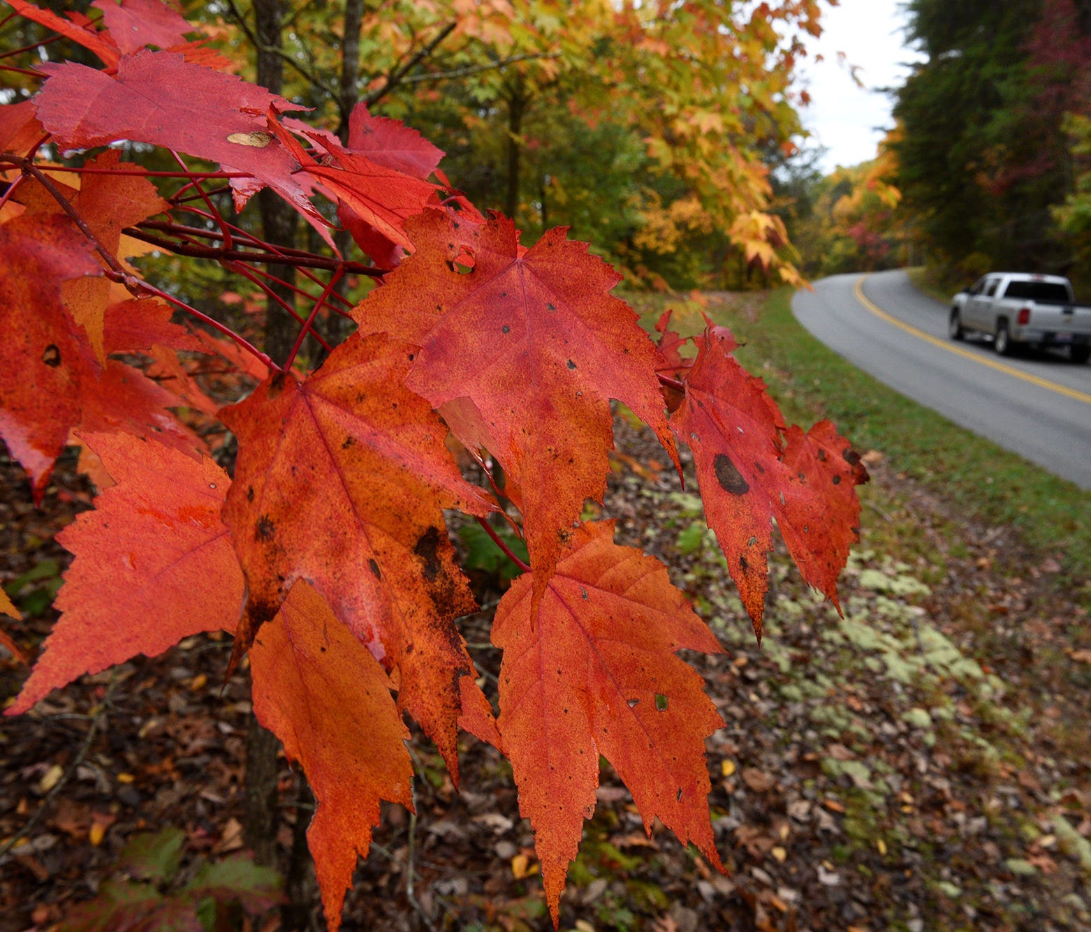 Fall colors can be seen in the Foothills Parkway area of Blount County, Tenn., on Oct. 26, 2015.