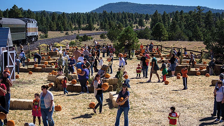 Find A Halloween Pumpkin Patch In Phoenix 2017