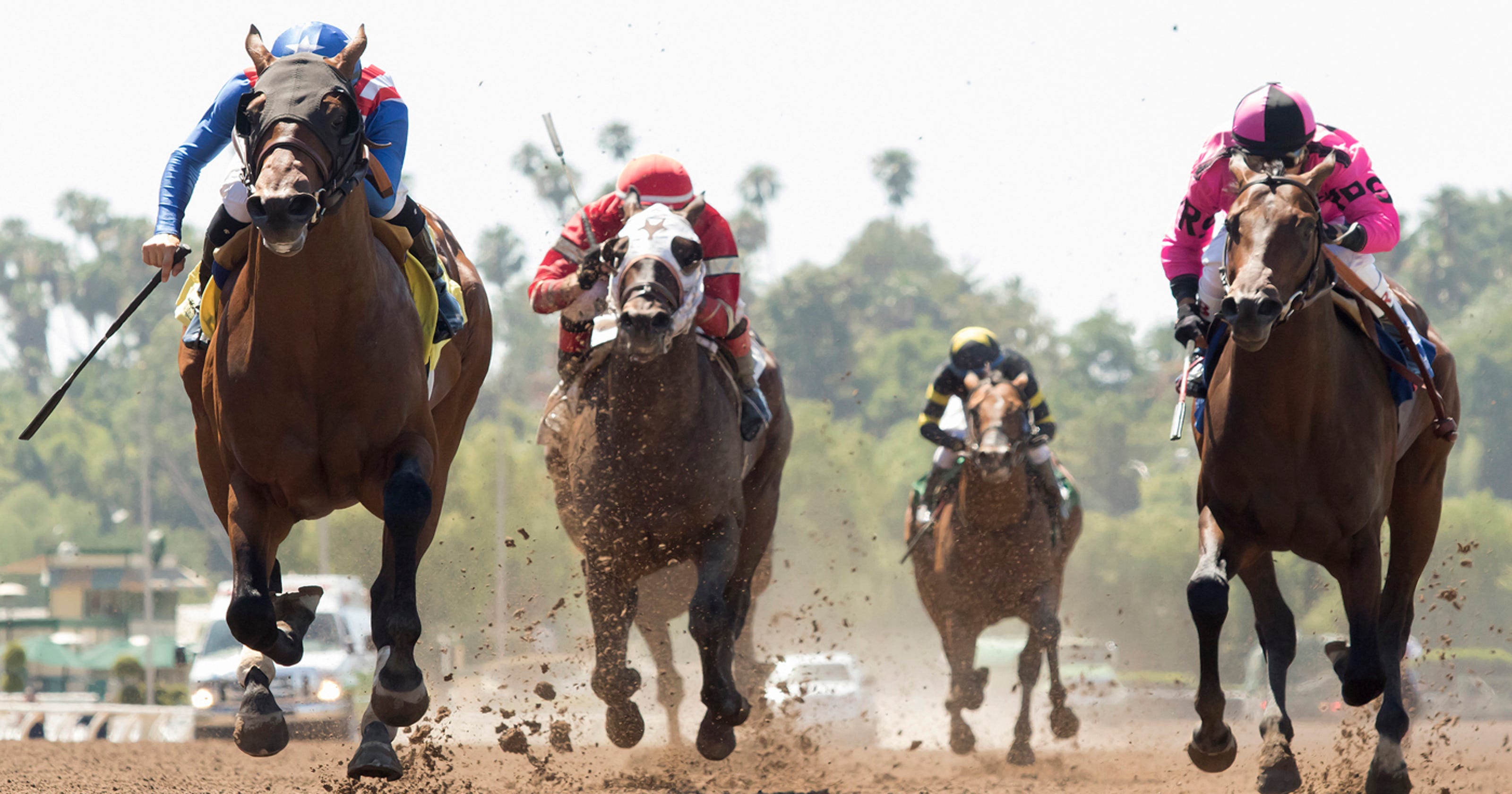 The cruel twist of horse racing's 'aura'