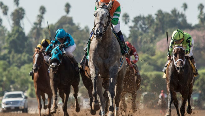 Jockeys pull their horses in behind Unique Bella and jockey Mike Smith in this file photo from a race at Santa Anita Park in Arcadia, Calif.