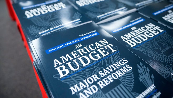 The president’s 2019 fiscal budget