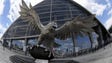 The falcon statue outside Mercedes-Benz Stadium.