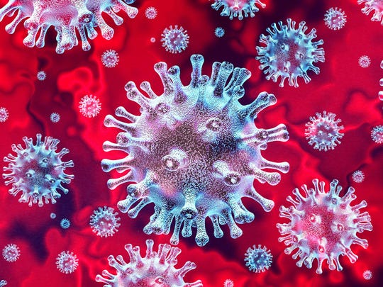 A coronavirus colony.