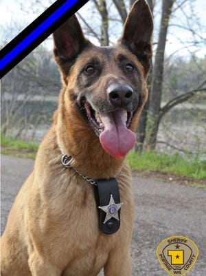 Portage County Sheriff's Office veteran K-9 Baco died this week after retiring in September.