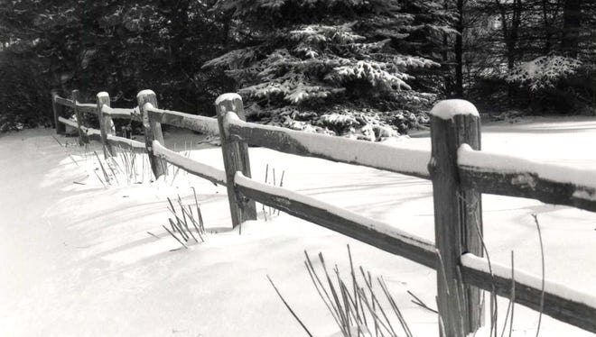 Curb appeal of an urban landscape can be as attractive in the winter as in the summer.