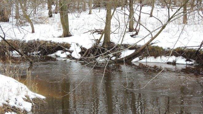 Many streams and rivers have already tossed aside winter's shield of ice and are flowing heavily. In some parts of the state, the National Weather Service issued flood warnings last week.