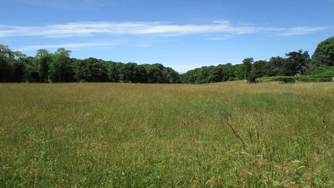 This 3.1 acres of land in East Orleans has been preserved under a conservation restriction by the Orleans Conservation Trust.  It will remain in private hands while providing needed habitat for a multitude of wildlife.