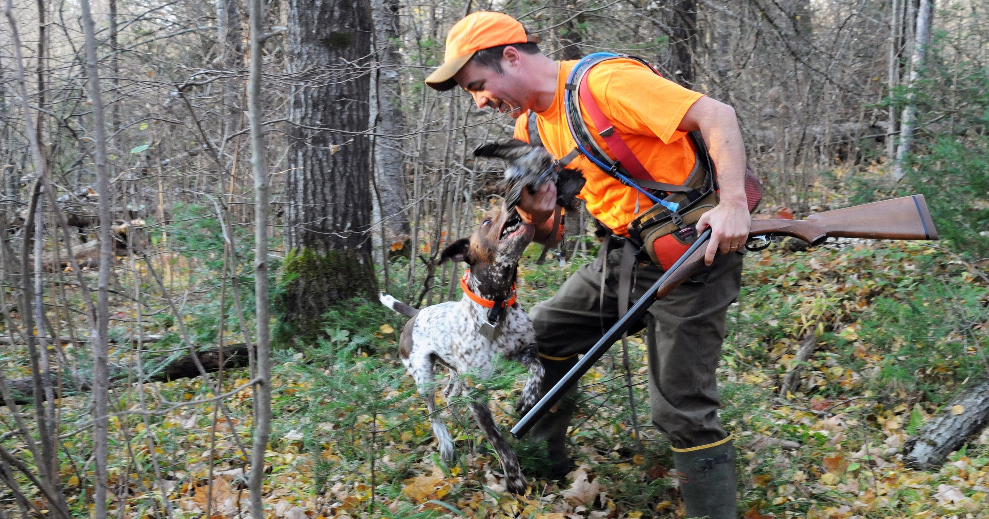 Ruffed grouse hunting Jumping to conclusions won't help boost numbers