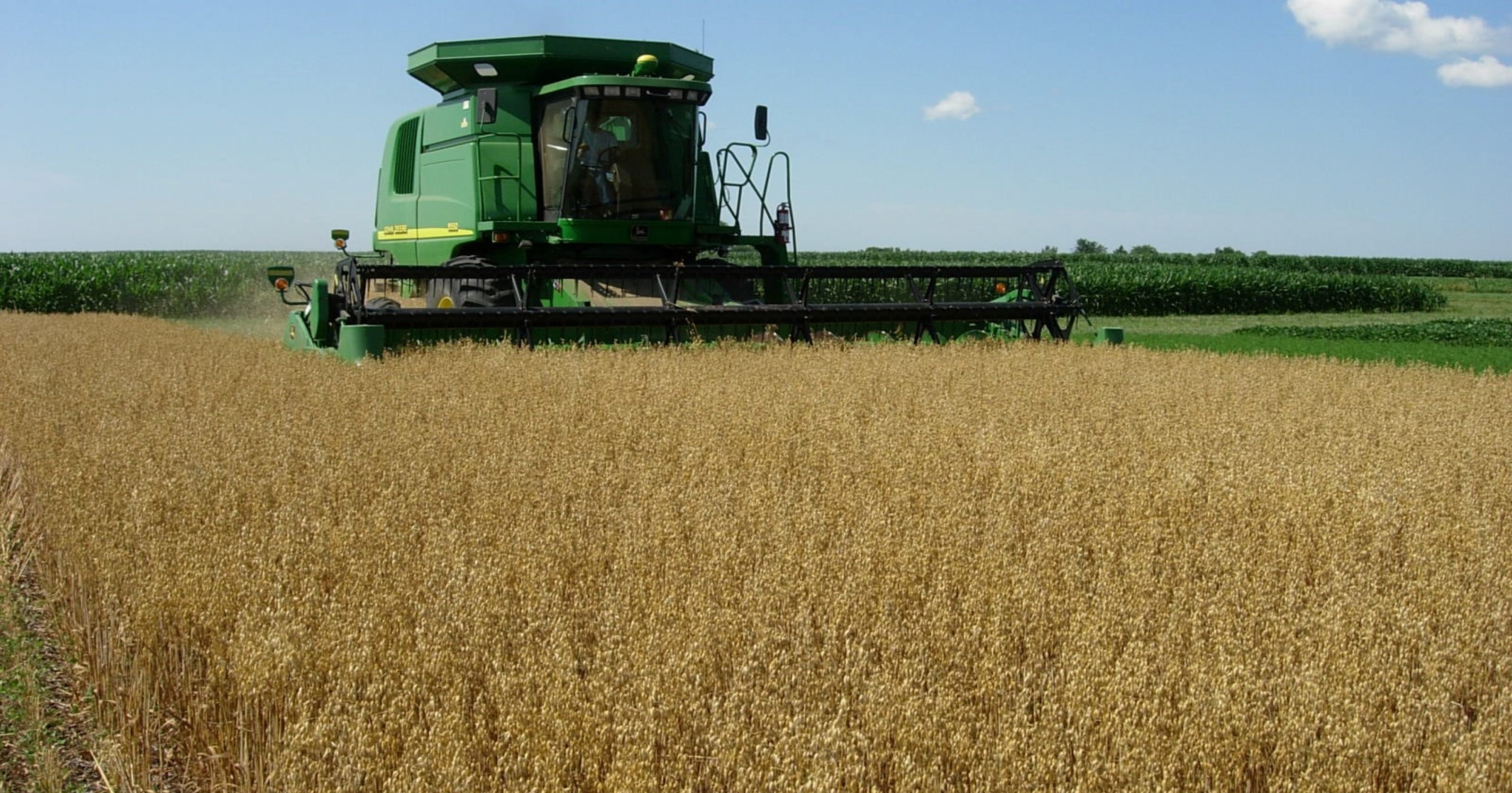 Quaker Oats are made in Iowa, yet farmers lack market for the crop
