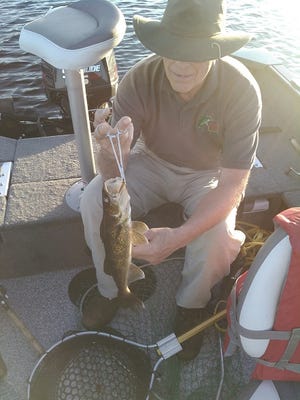 John Kopp with a nice eater walleye caught in the Tomahawk area.
