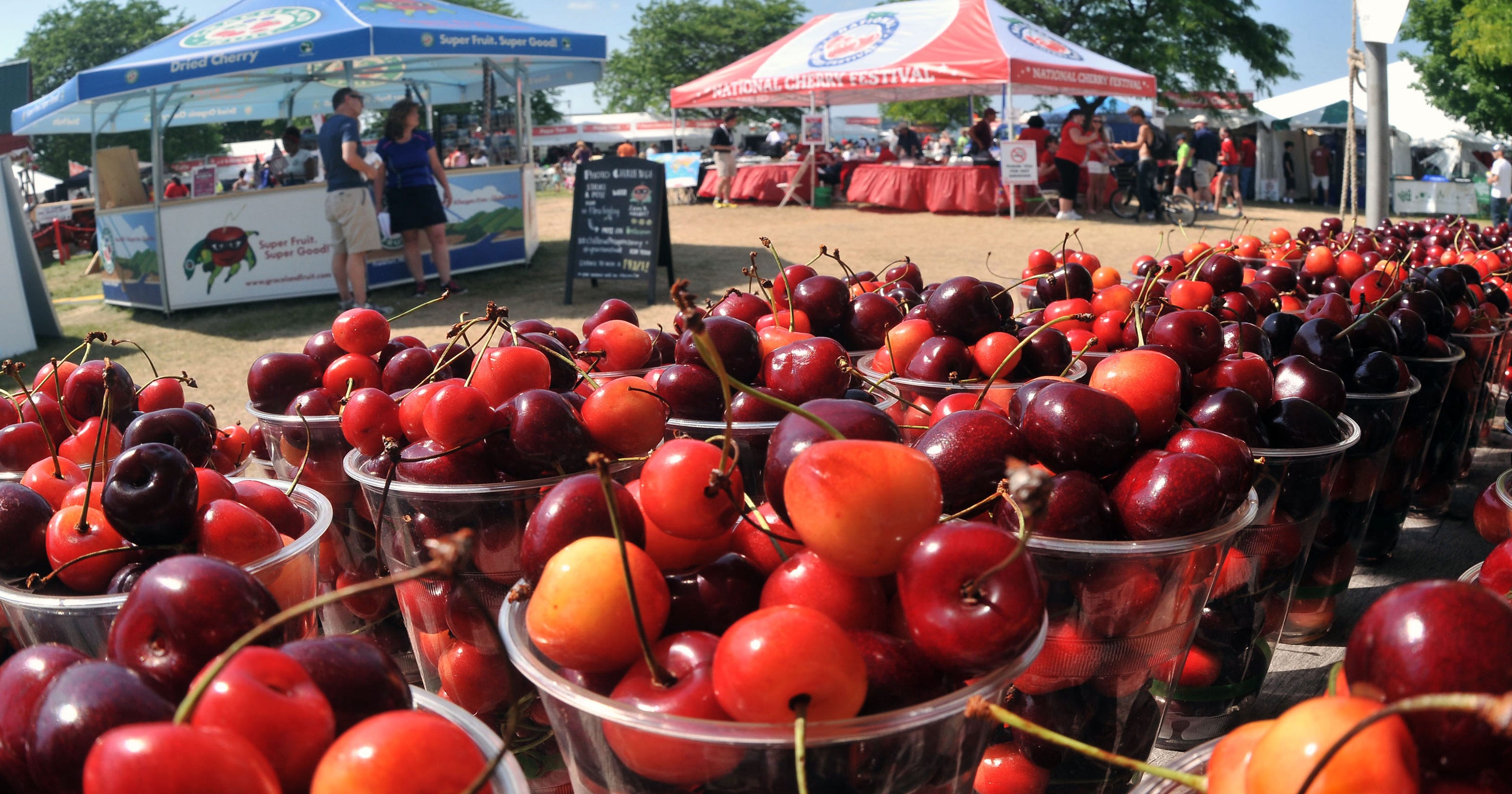 Travel Smart National Cherry Festival in Traverse City is looking sweet