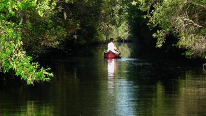 A paddle at the Okefenokee National Wildlife Refuge.