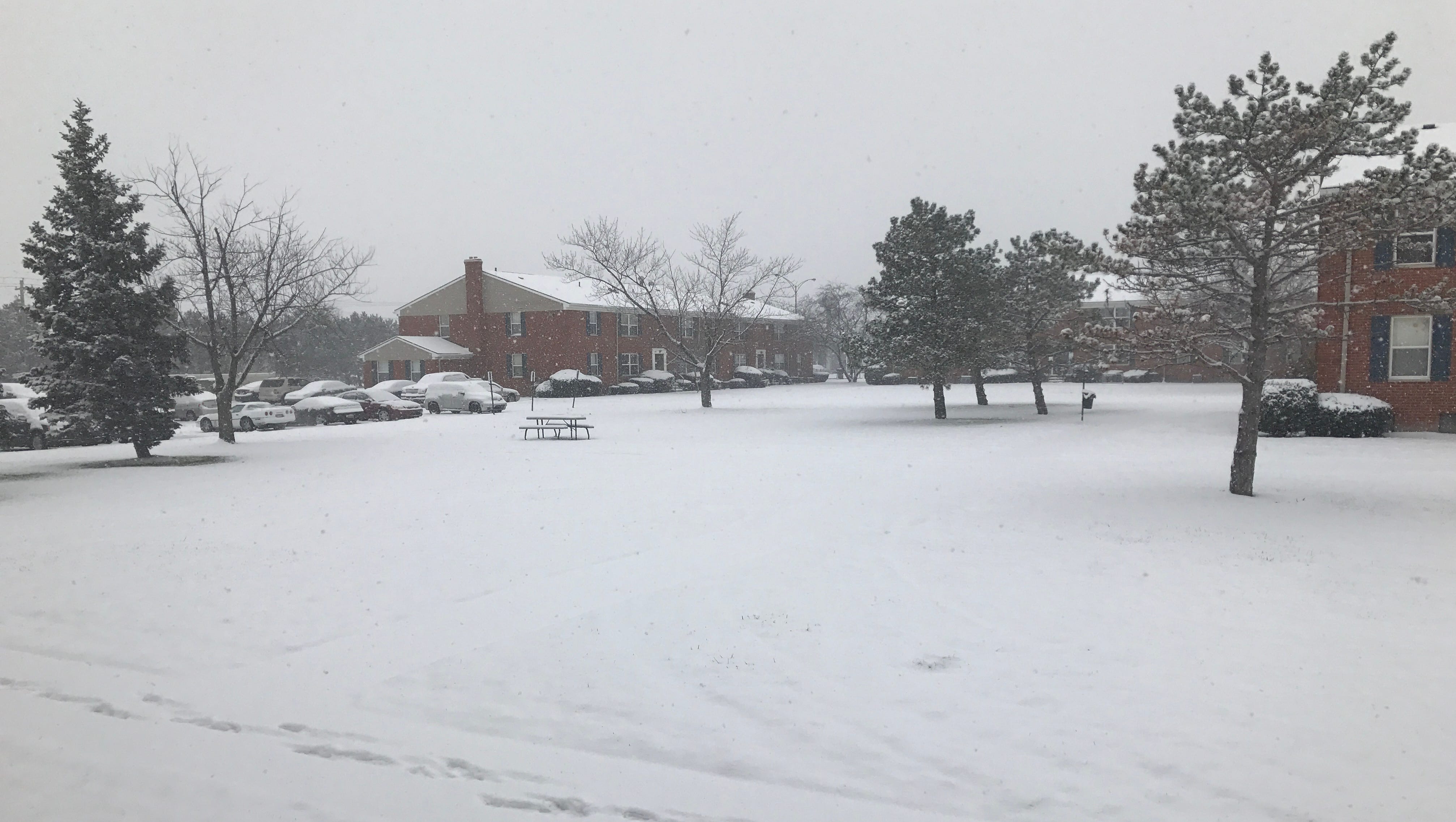 Live Michigan Weather Traffic Updates As The Snow Piles On