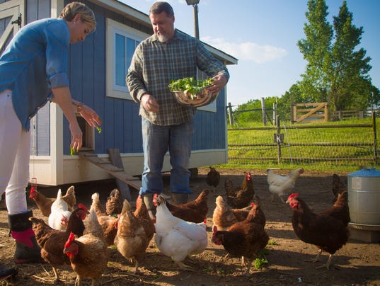 golden rule mini farm golden rule mini farm