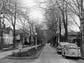 Arnold Park is viewed from Park avenue. Motorist have