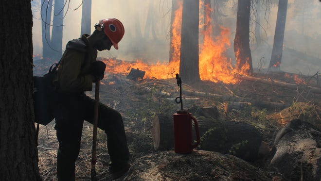 A firefighter rests near a controlled burn at Horseshoe Meadows.