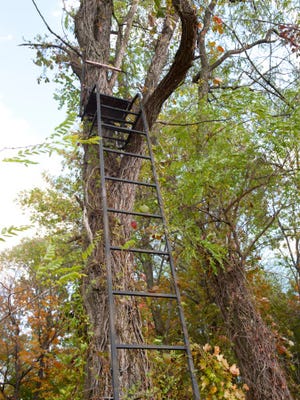 tree stand for hunting
