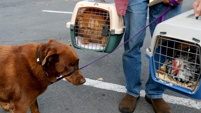 Would you kick out your pet to stay in your home? It's the reality that Waynesboro residents could face with a new proposal, which they opposed with tears and frustration at the council meeting