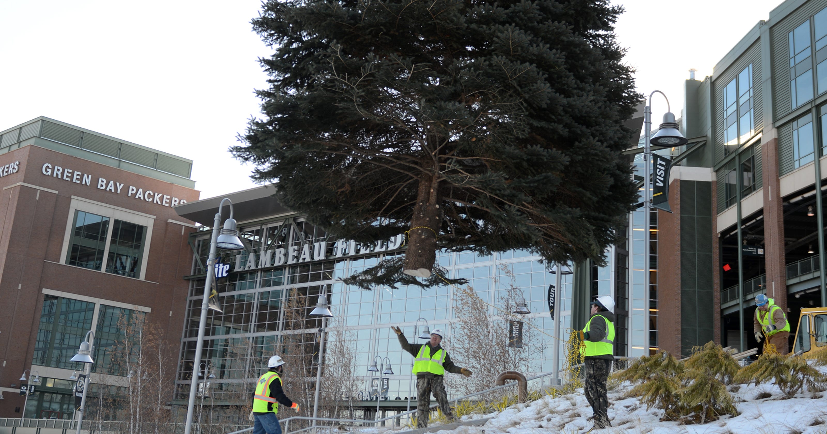 Christmas tree ready for decorating at Lambeau Field