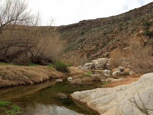 Agua Fria River creates Arizona desert oasis