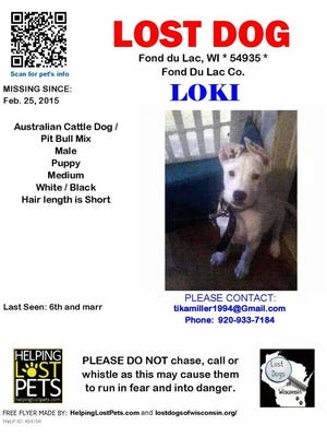 Missing dog in Fond du Lac poster.