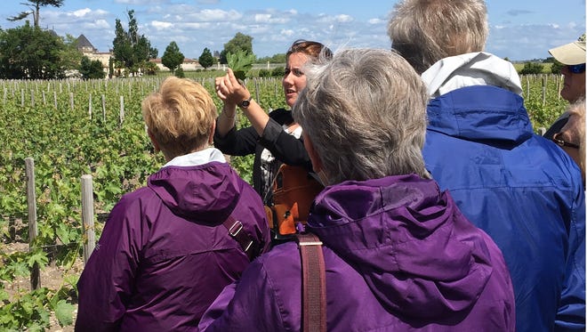 Elise De Dily of Chateau Marquis de Terme explains how grape leaves are examined for insect damage or disease.