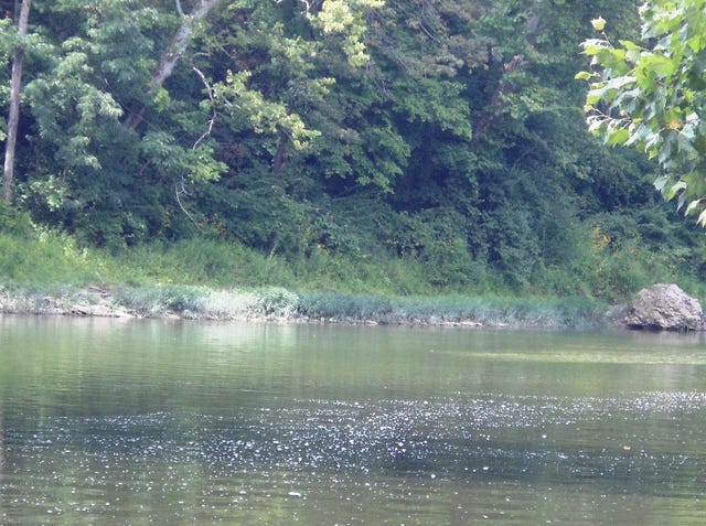 Little Miami Sewer Breach Do Not Fish In Or Enter River