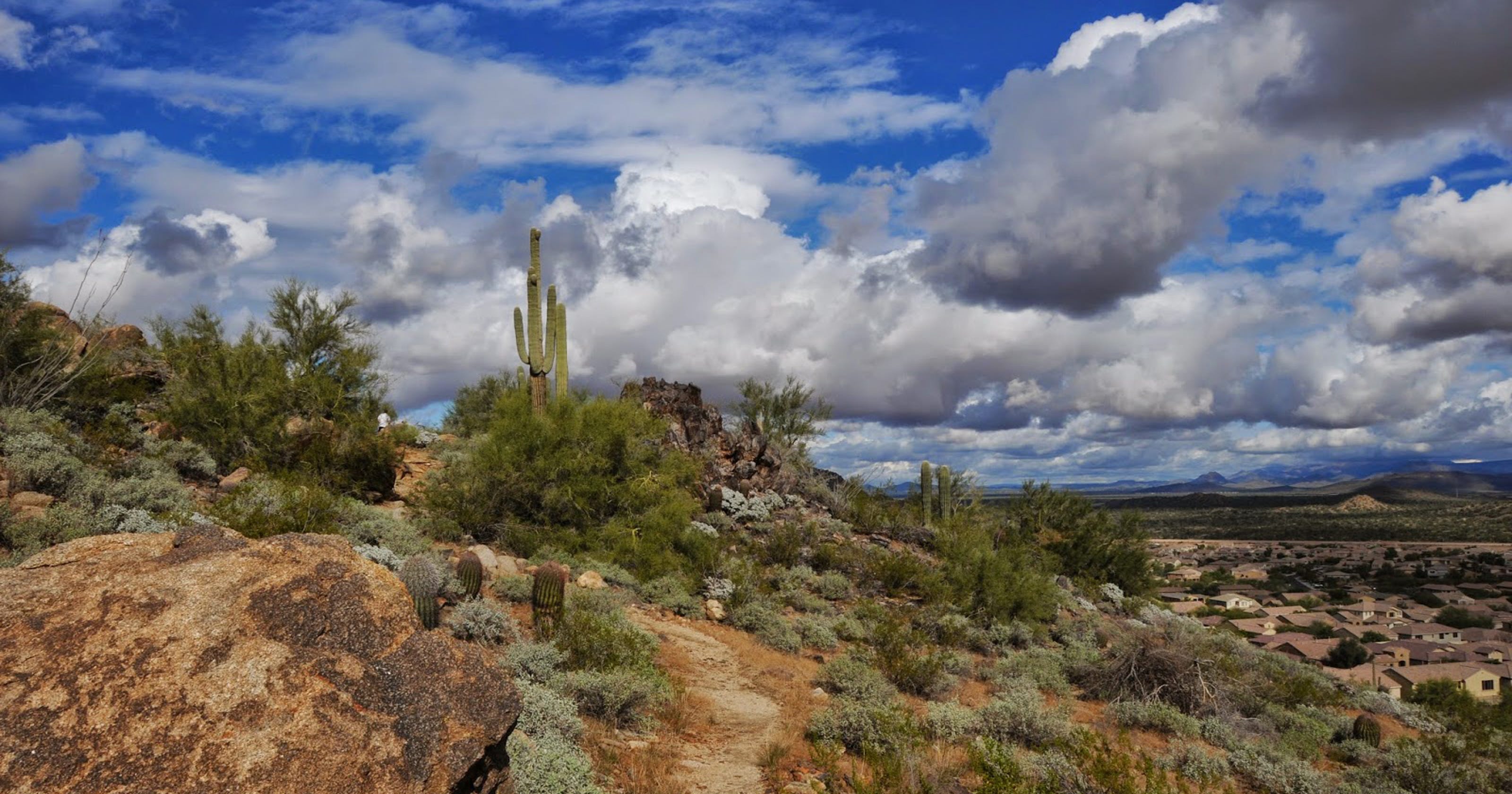 Arizona hike East Wing Mountain trails, Peoria