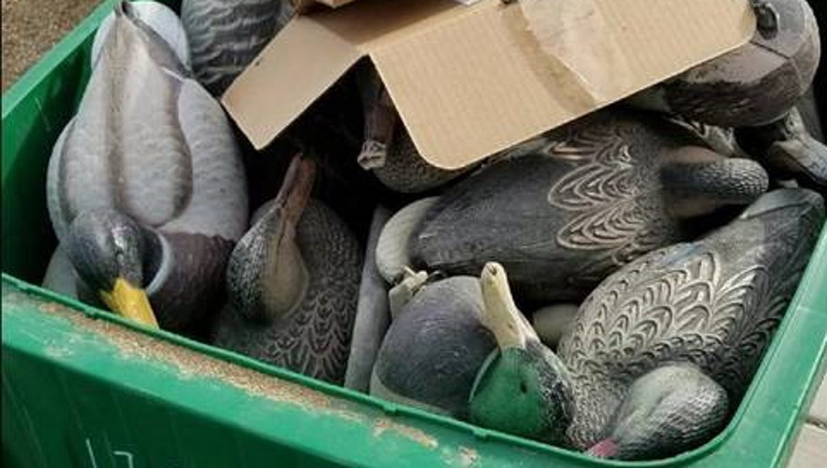 Waste Management To Stop Recycling Contamination With Letters And Fines
