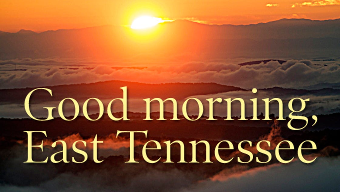 TDCI reminds travelers to review insurance - Knoxville News Sentinel - Knoxville News Sentinel