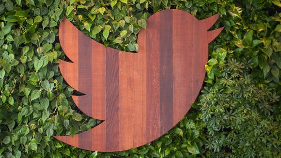 Twitter logo made of stained wood with leaves in the background