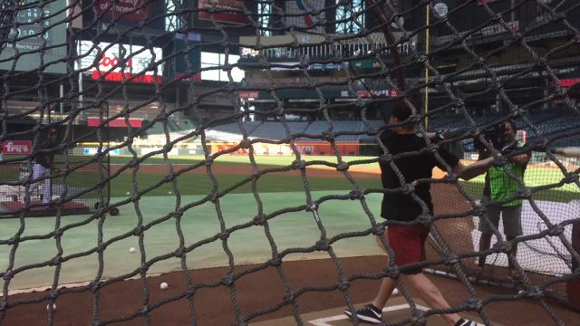 Coyotes take batting practice at Chase Field