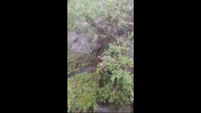 Raw: Deadly flash floods hit Ariz. swimming hole