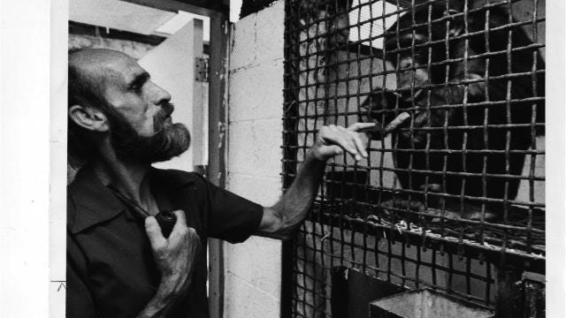 Mesa "Monkey Farm": An urban legend or primate sancturary?