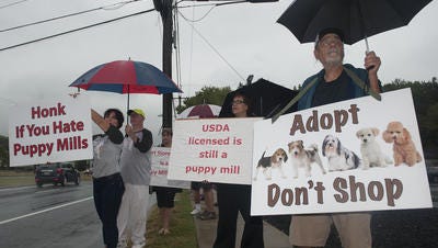 Protesters demonstrate outside a pet store in Cherry Hill last month.