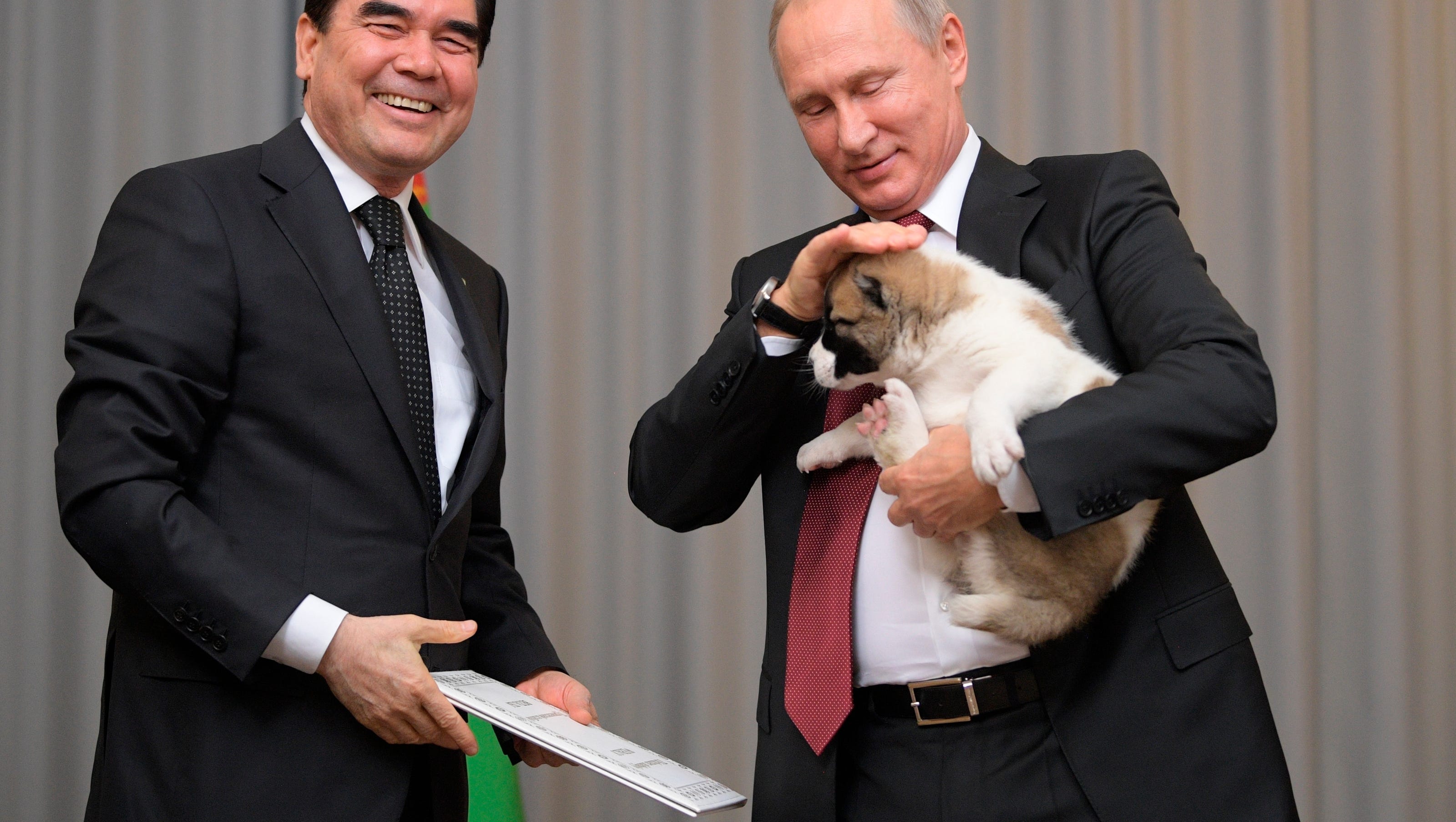 Vladimir Putin cuddles new puppy named Verny Vladimir Putin cuddles new puppy named Verny