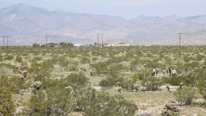 Riverside County sheriff's investigators search a field where a deputy shot a man Sunday near Desert Hot Springs. They went there after receiving reports of an assault in the area.