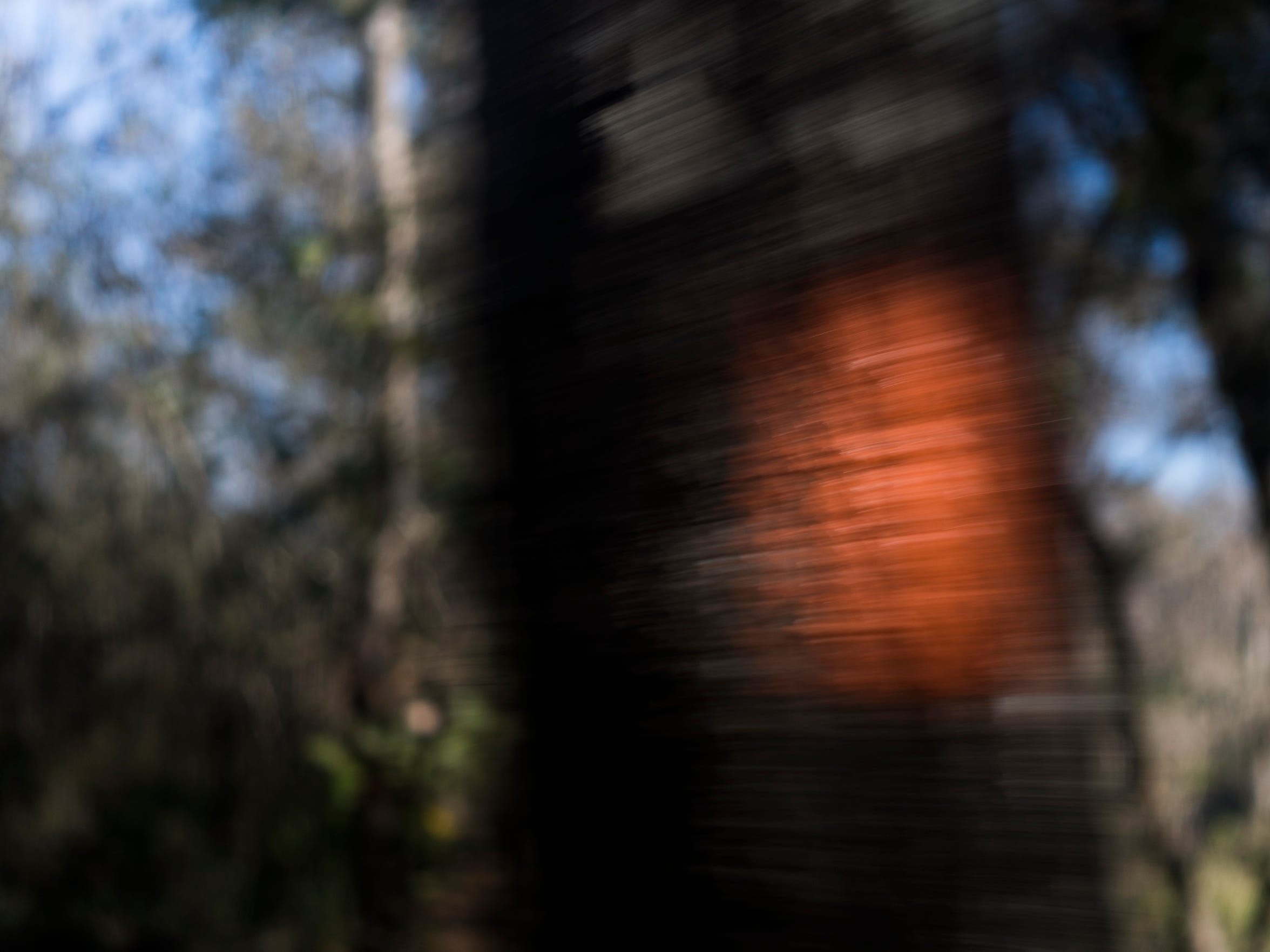 1 100 Miles Discovering Florida S Hidden Trail