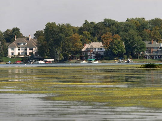 Like a green carpet spreading out from an island, algae and other invasive water plants coat the surface of Geist Reservoir Wednesday September 18, 2013. The plants and zebra mussels have combined to make life difficult for boaters, fouling center boards of sailboats, wrapping around motorboat propellers, and fouling the intakes of jet skis. 